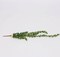 2 Green 23" Artificial Succulents Faux String Hanging Plants